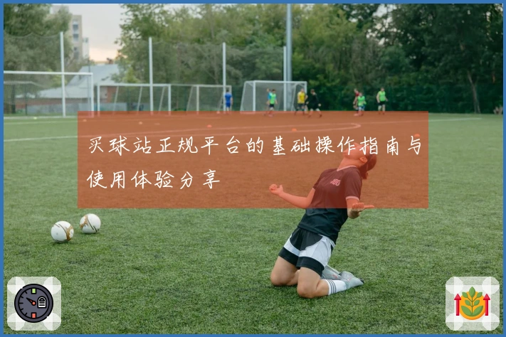买球站正规平台的基础操作指南与使用体验分享
