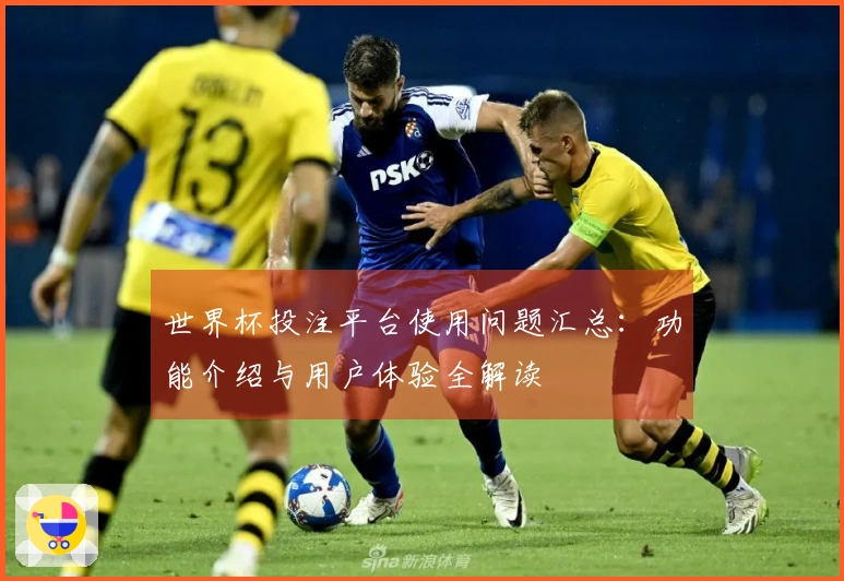 世界杯投注平台使用问题汇总：功能介绍与用户体验全解读